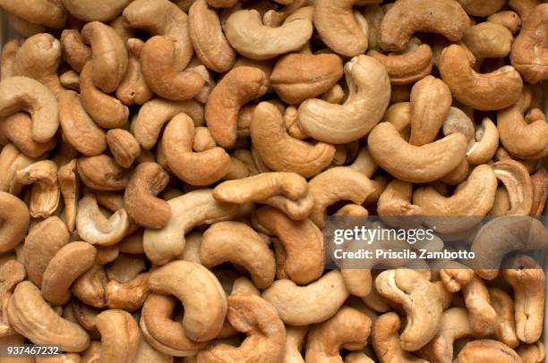 castanha de caju (cashew nut) - cashews stock pictures, royalty-free photos & images