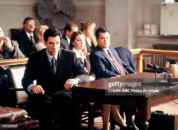 The Trial" - Season Two - 2/9/98, A documentary crew follows their every move as the law firm of Donnell & Associates, including Bobby , Lindsay and...