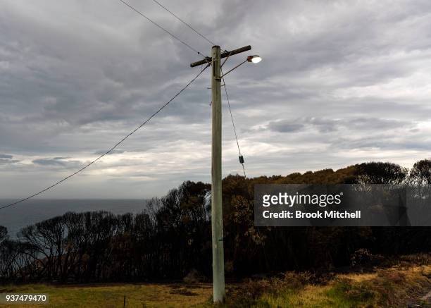 Powerlines and burnt bushland are pictured in Tathra on March 25, 2018 in Tathra, Australia. A bushfire which started on 18 March destroyed 65...
