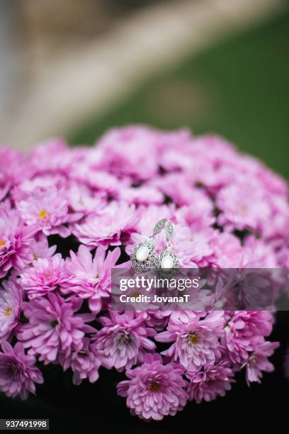 lovely silver earrings on pink chrysanthemum - jovanat stock pictures, royalty-free photos & images