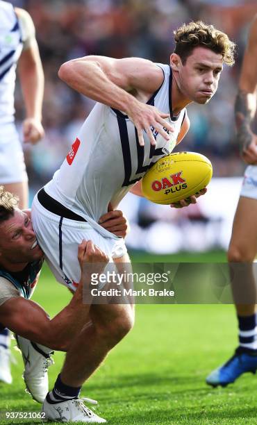 Lachie Neale of the Dockers during the round one AFL match between the Port Adelaide Power and the Fremantle Dockers at Adelaide Oval on March 24,...