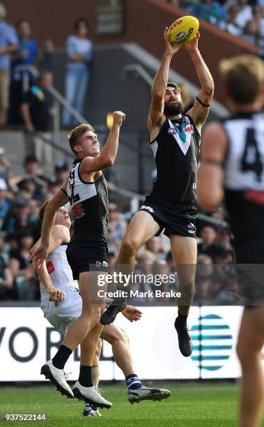 Justin Westhoff of Port Adelaide marks during the round one AFL match between the Port Adelaide Power and the Fremantle Dockers at Adelaide Oval on...