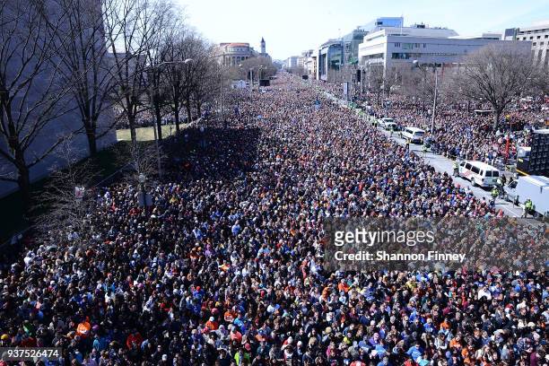 Crowds and celebrities attend the March for Our Lives Rally on March 24, 2018 in Washington, DC.