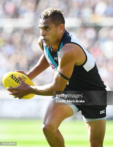 Dom Barry of Port Adelaide during the round one AFL match between the Port Adelaide Power and the Fremantle Dockers at Adelaide Oval on March 24,...