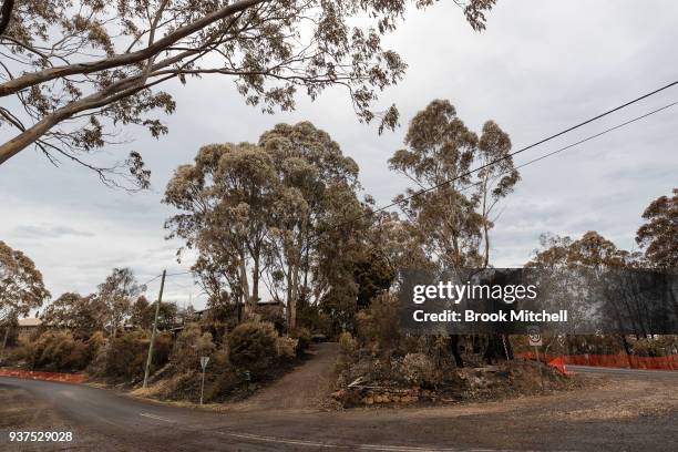 Scorched bushland on Thompsons Drive, on March 25, 2018 in Tathra, Australia. A bushfire which started on 18 March destroyed 65 houses, 35 caravans...