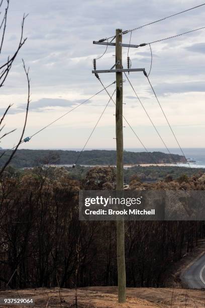 Scorched bushland on Thompsons Drive, on March 25, 2018 in Tathra, Australia. A bushfire which started on 18 March destroyed 65 houses, 35 caravans...