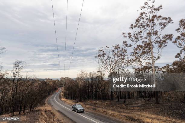 Scorched bushland on Thompsons Drive, on March 25, 2018 in Tathra, Australia. A bushfire which started on 18 March destroyed 65 houses, 35 caravans...