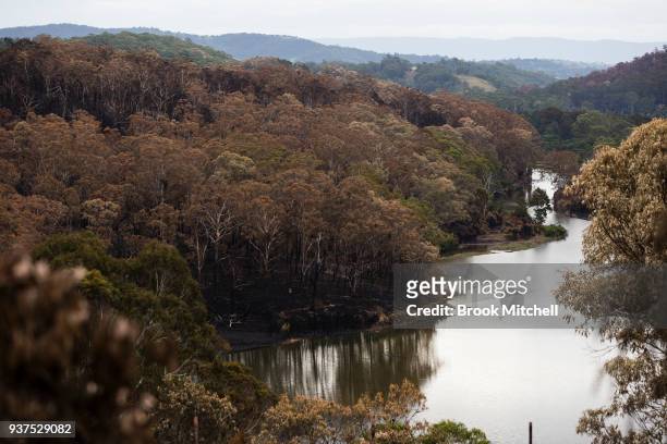 Scored bushland on the outskirts of Tathra, Australia on March 25, 2018 . A bushfire which started on 18 March destroyed 65 houses, 35 caravans and...