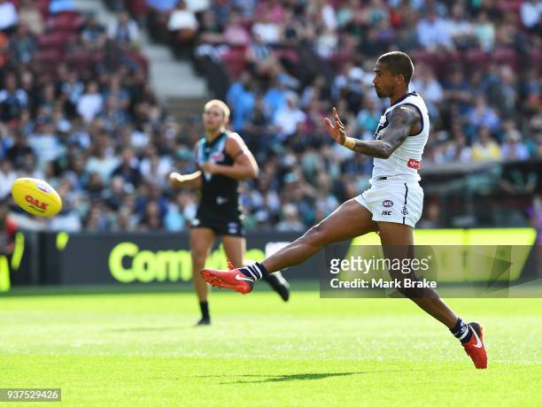 Bradley Hill of the Dockers during the round one AFL match between the Port Adelaide Power and the Fremantle Dockers at Adelaide Oval on March 24,...