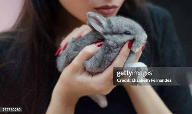 young woman holding small bunny in his hands - first exposure series stock pictures, royalty-free photos & images