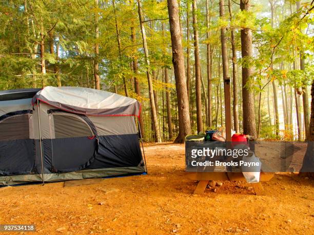 camping in a wooded area. - sturbridge stock pictures, royalty-free photos & images