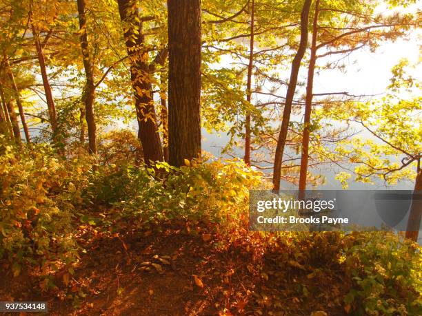 camping spot by a lake. - sturbridge - fotografias e filmes do acervo