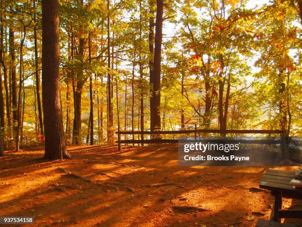 camping spot by a lake. - sturbridge stock pictures, royalty-free photos & images