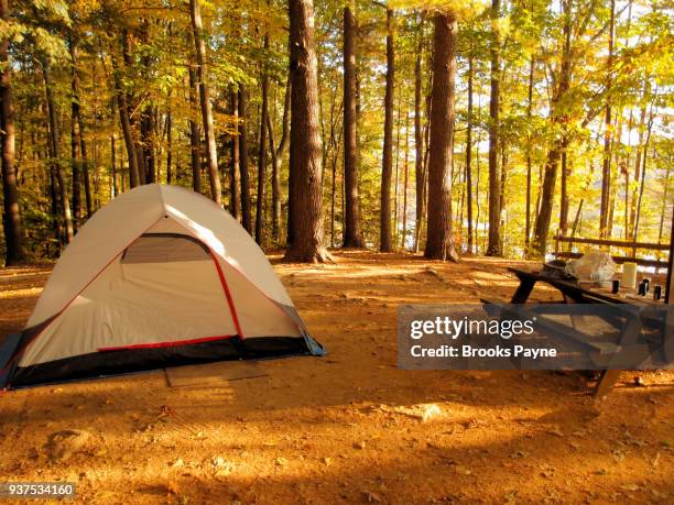 camping in a wooded area. - sturbridge stock pictures, royalty-free photos & images