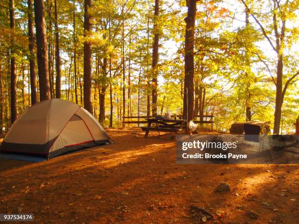 camping in a wooded area. - sturbridge stock pictures, royalty-free photos & images