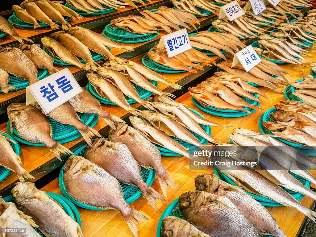 Fish Market South Korea Busan