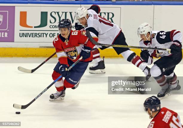 The Florida Panthers' Denis Malgin takes the puck down ice in the first period against the Arizona Coyotes at the BB&T Center in Sunrise, Fla., on...