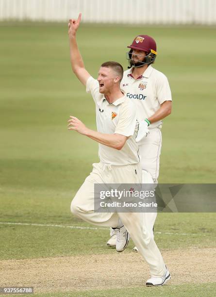 Tasmania player Jackson Bird celebrates taking the wicket of Matthew Renshaw of Queensland during day three of the Sheffield Shield final match...