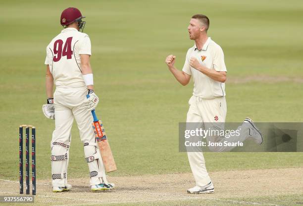 Tasmania player Jackson Bird celebrates taking the wicket of Matthew Renshaw of Queensland during day three of the Sheffield Shield final match...