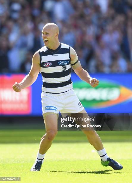 Gary Ablett of the Cats celebrates kicking a goal during the round one AFL match between the Melbourne Demons and the Geelong Cats at Melbourne...