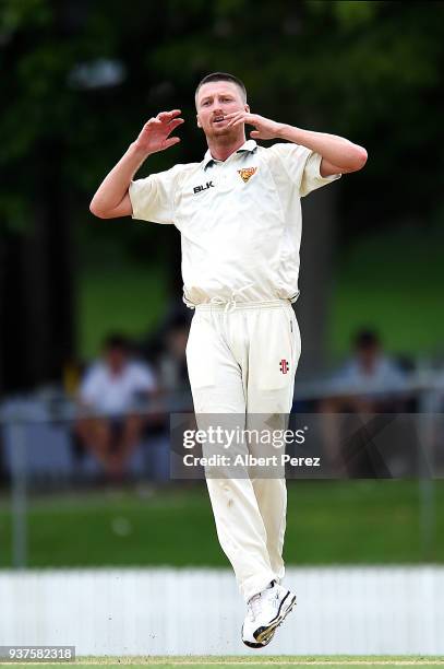 Jackson Bird of Tasmania reacts during day three of the Sheffield Shield Final match between Queensland and Tasmania at Allan Border Field on March...