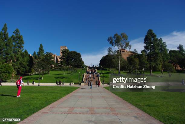 university of california los angeles - university of california los angeles stock-fotos und bilder
