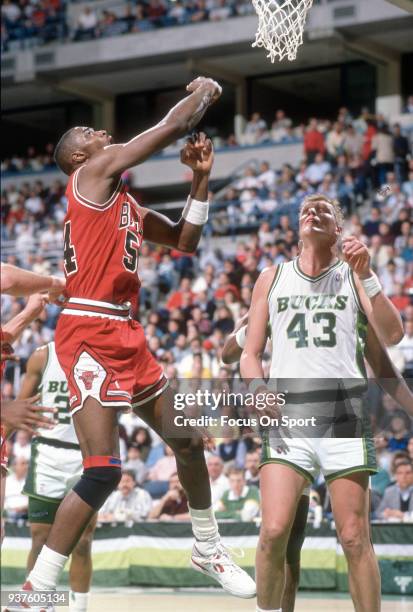 Horace Grant of the Chicago Bulls in action against the Milwaukee Bucks during an NBA basketball game circa 1990 at the Bradley Center In Milwaukee,...