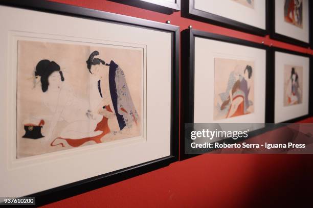 Works of the japanese artist Ikeda Terukata insert in the Arthemisia's exhibition "Japan" at Palazzo Albergati on March 23, 2018 in Bologna, Italy.