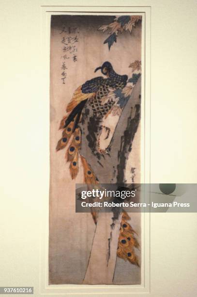 Work "Pecock on Maple" of the japanese artist Ando Hiroshige insert in the Arthemisia's exhibition "Japan" at Palazzo Albergati on March 23, 2018 in...