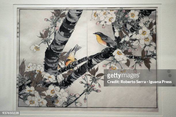 Work "Cherry Tree at Floweing and Kigitaki Bird" of the japanese artist Keinen Imao insert in the Arthemisia's exhibition "Japan" at Palazzo...