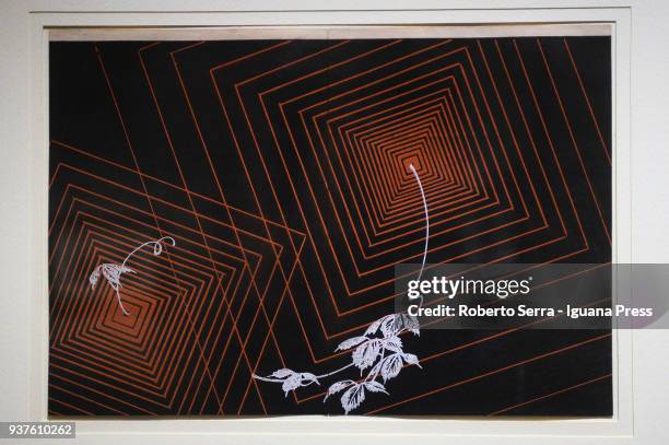 Work "Spider Web" of the japanese artist Ogino Issui insert in the Arthemisia's exhibition "Japan" at Palazzo Albergati on March 23, 2018 in Bologna,...