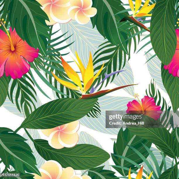 tropical pattern background of hibiscus, bird of paridise, and palm leaves isolated on white - flower tropical vector stock illustrations