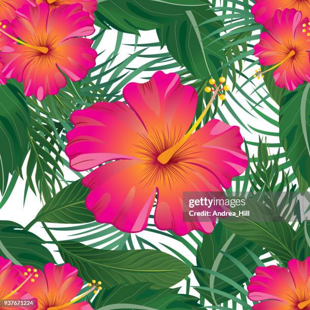tropical pattern isolated on white background - vector illustration - banana plant isolated white stock illustrations