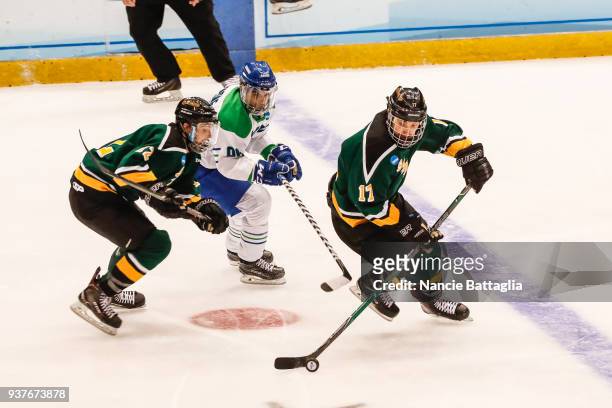 St. Norbert College's Roman Uchyn takes the puck down ice as teammate Keegan Milligan and Salve Regina University's Danny Eruzione follow in the...