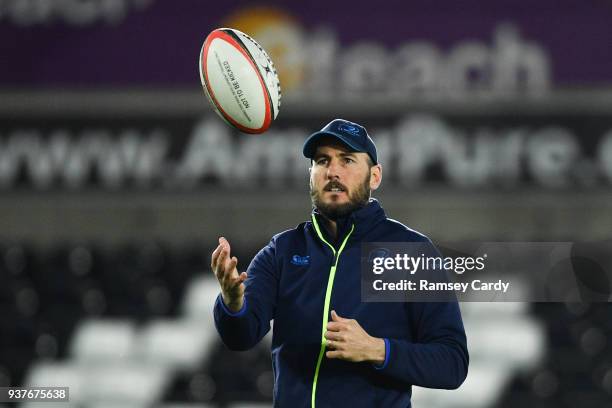 Swansea , United Kingdom - 24 March 2018; Leinster backs coach Girvan Dempsey ahead of the Guinness PRO14 Round 18 match between Ospreys and Leinster...