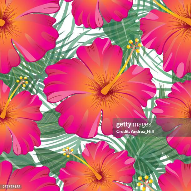 tropical pattern isolated on white background - vector illustration - banana plant isolated white stock illustrations