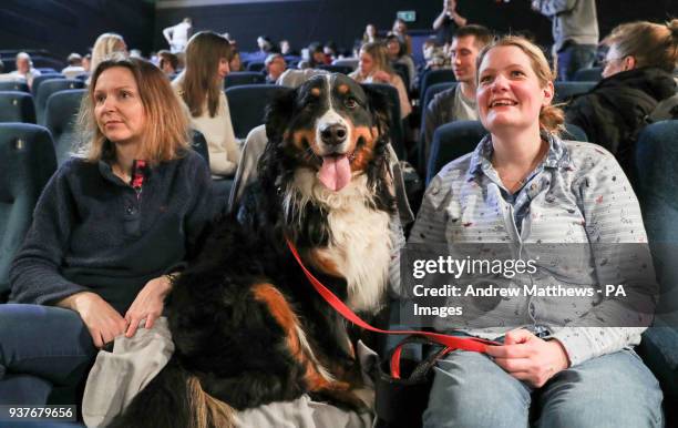 Anna Springett and sister in law Amy Springett with Burnese Mountian Dog Little My, before a dog-friendly screening of Wes Anderson's new film 'Isle...