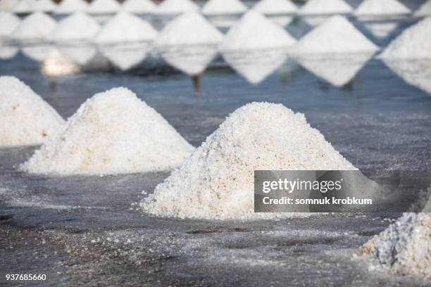 Stacking Salt Salt Extraction Fotografías e imágenes de stock - Getty Images