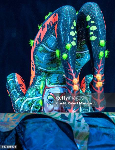 Oyun-Erdene Senge performs on stage for the Cirque du Soleil 'Totem' show on March 22, 2018 in Barcelona, Spain.