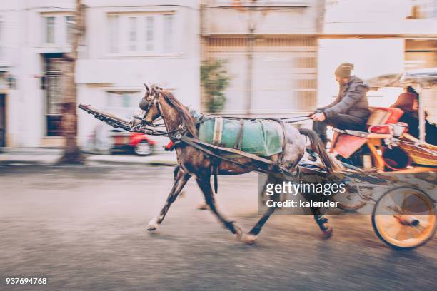 carrinho do cavalo em movimento turva - longa exposição - kalender - fotografias e filmes do acervo