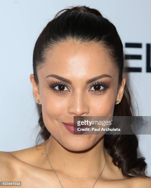 Playboy Playmate Raquel Pomplun attends the 4th annual 'Babes In Toyland' Pet Gala benefiting 'Operation Blankets Of Love' at Avalon on March 21,...