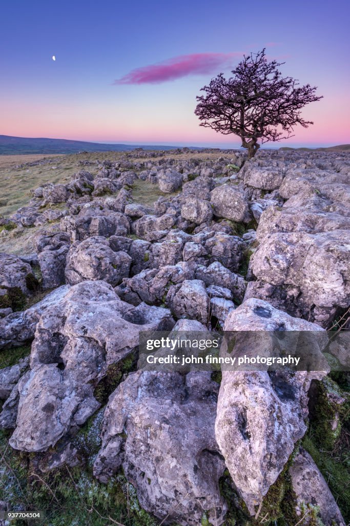 Limestone sunrise. Yorkshire Dales. UK.