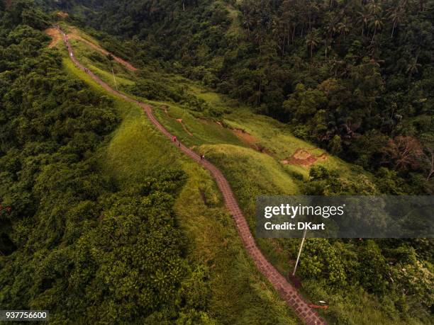 campuhan ridge wandeling in ubud - campuhan ridge walk stockfoto's en -beelden