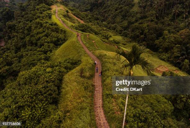 campuhan ridge wandeling in ubud - campuhan ridge walk stockfoto's en -beelden