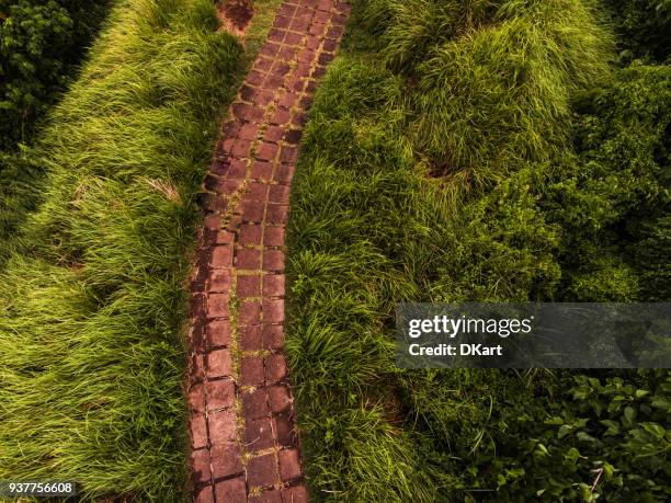 campuhan ridge walk in ubud - campuhan ridge walk stock pictures, royalty-free photos & images