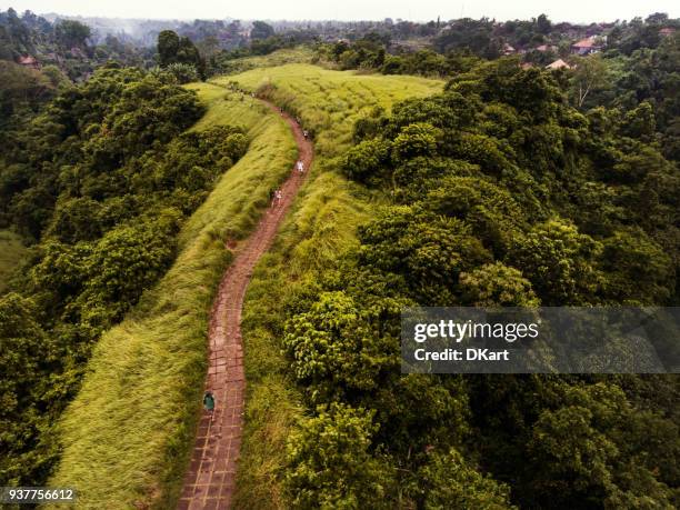 campuhan ridge wandeling in ubud - campuhan ridge walk stockfoto's en -beelden