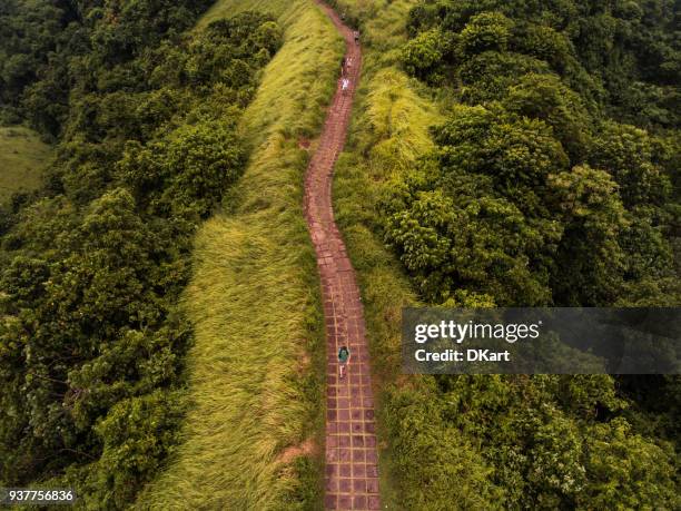 campuhan ridge wandeling in ubud - campuhan ridge walk stockfoto's en -beelden