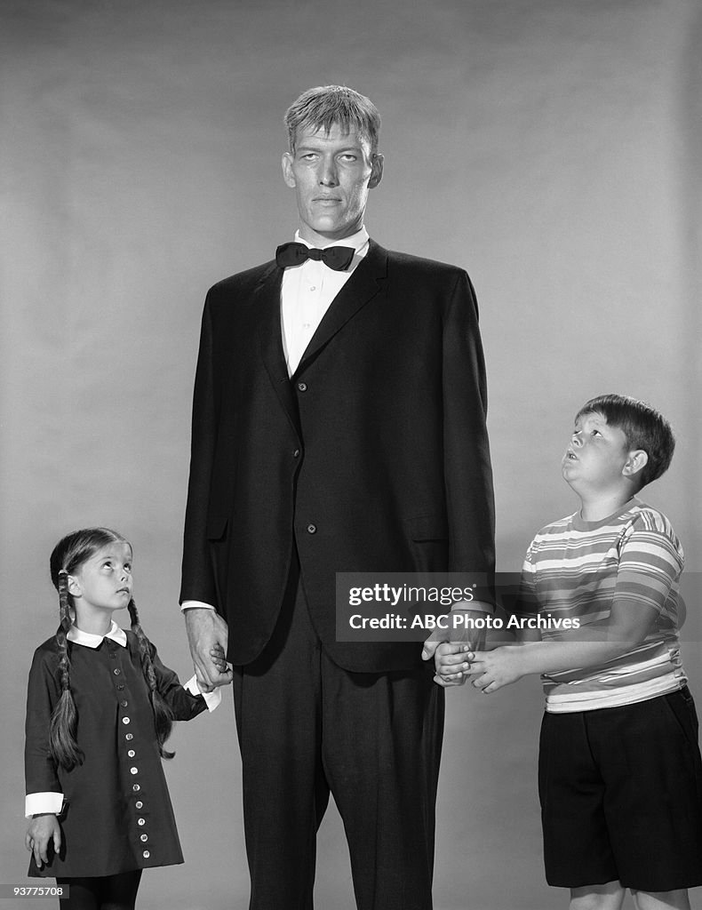 THE ADDAMS FAMILY