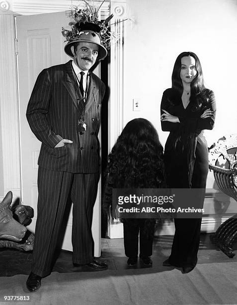 Cousin Itt Visits" - Season One - 1/14/65 Gomez and Morticia are visited by Cousin Itt .