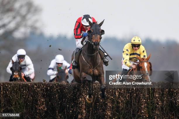 Tom Scudamore riding Rathlin Rose clear the last to win The Grandnational.Fans Veterans' Handicap Steeple Chase at Ascot racecourse on March 25, 2018...